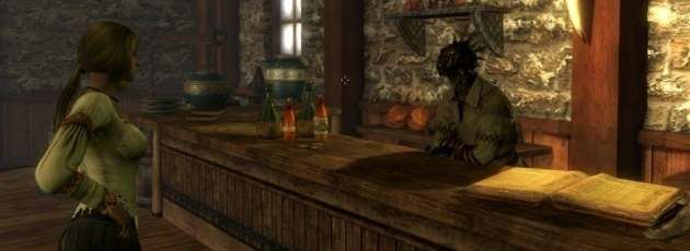 Sexy Maids of Skyrim v1.0 (RUS)