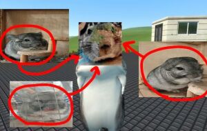 Chinchilla PM | Garrys mod моды