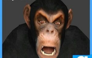 Шимпанзе плеермодель и NPC для Garrys mod 13