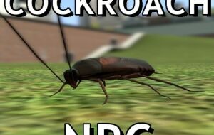 Cockroach SNPC | Garrys mod моды