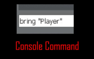 Bring Teleport Function