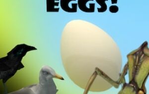 Вылупляющиеся Яйца | Garrys mod моды