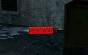 Garry's mod 13 — FENTANYL
