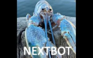 Blue Lobster Nextbot