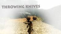 Skyrim — Метательные ножи