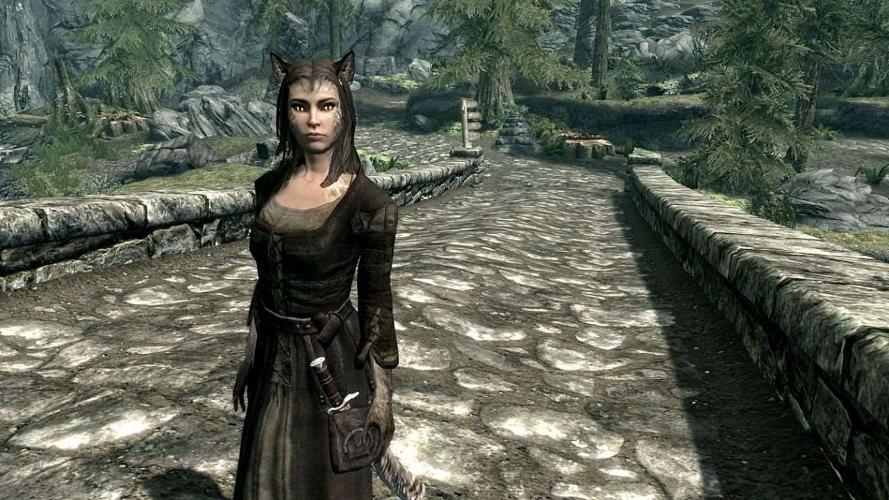 Skyrim - Mrissi - A tail of troubles.
