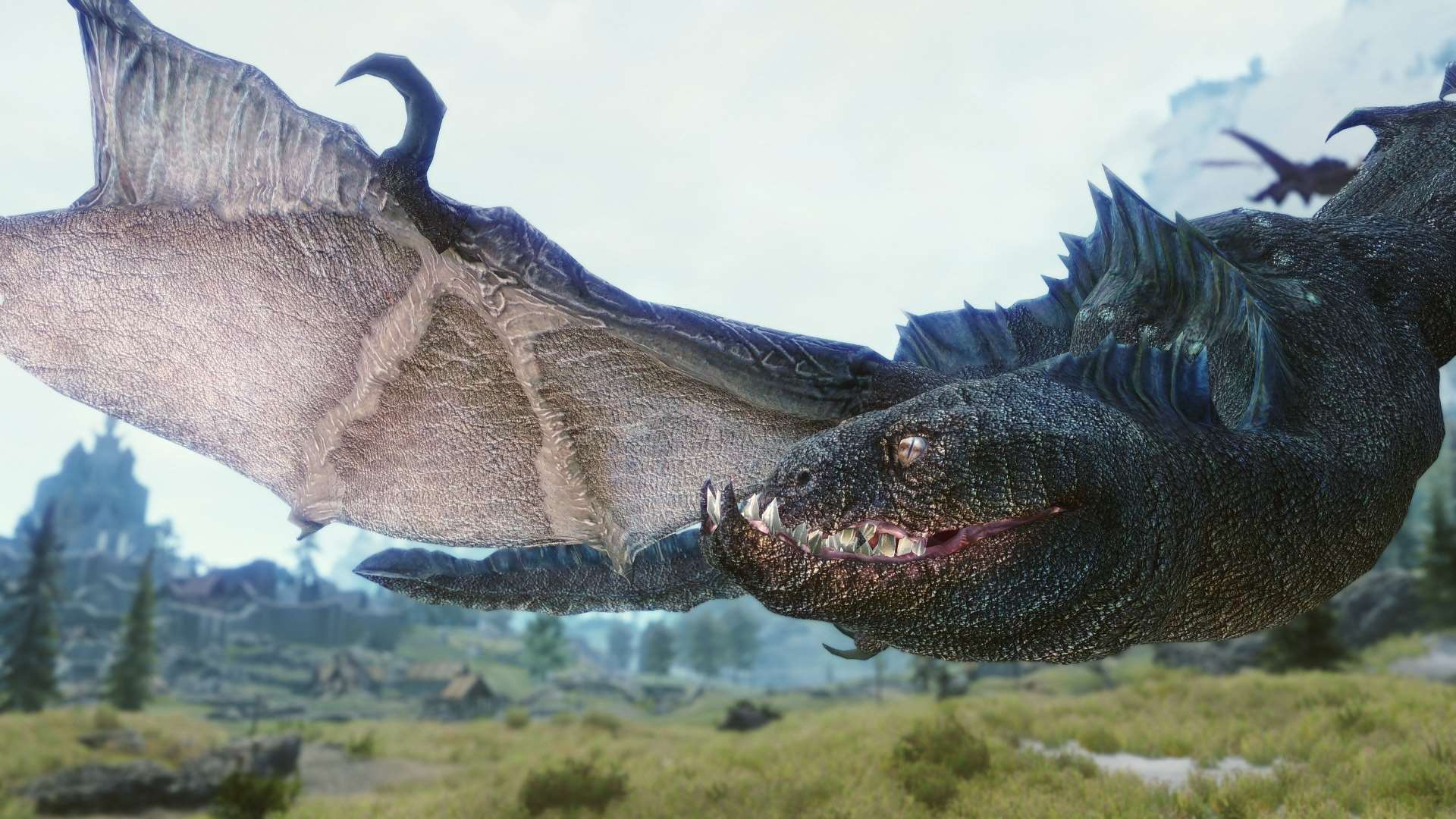 Как выглядит настоящий дракон фото