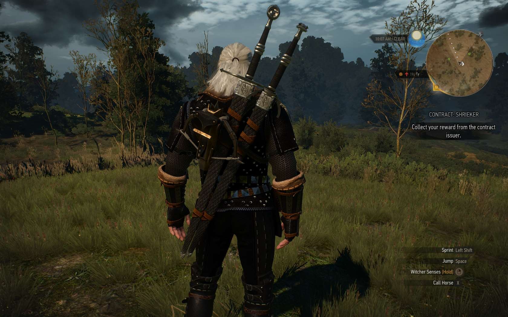 The witcher 3 как одеть броню фото 96