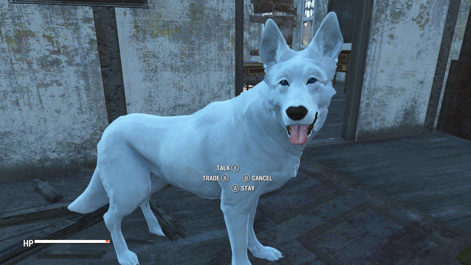 Fallout 4 вернуть собаку фото 75