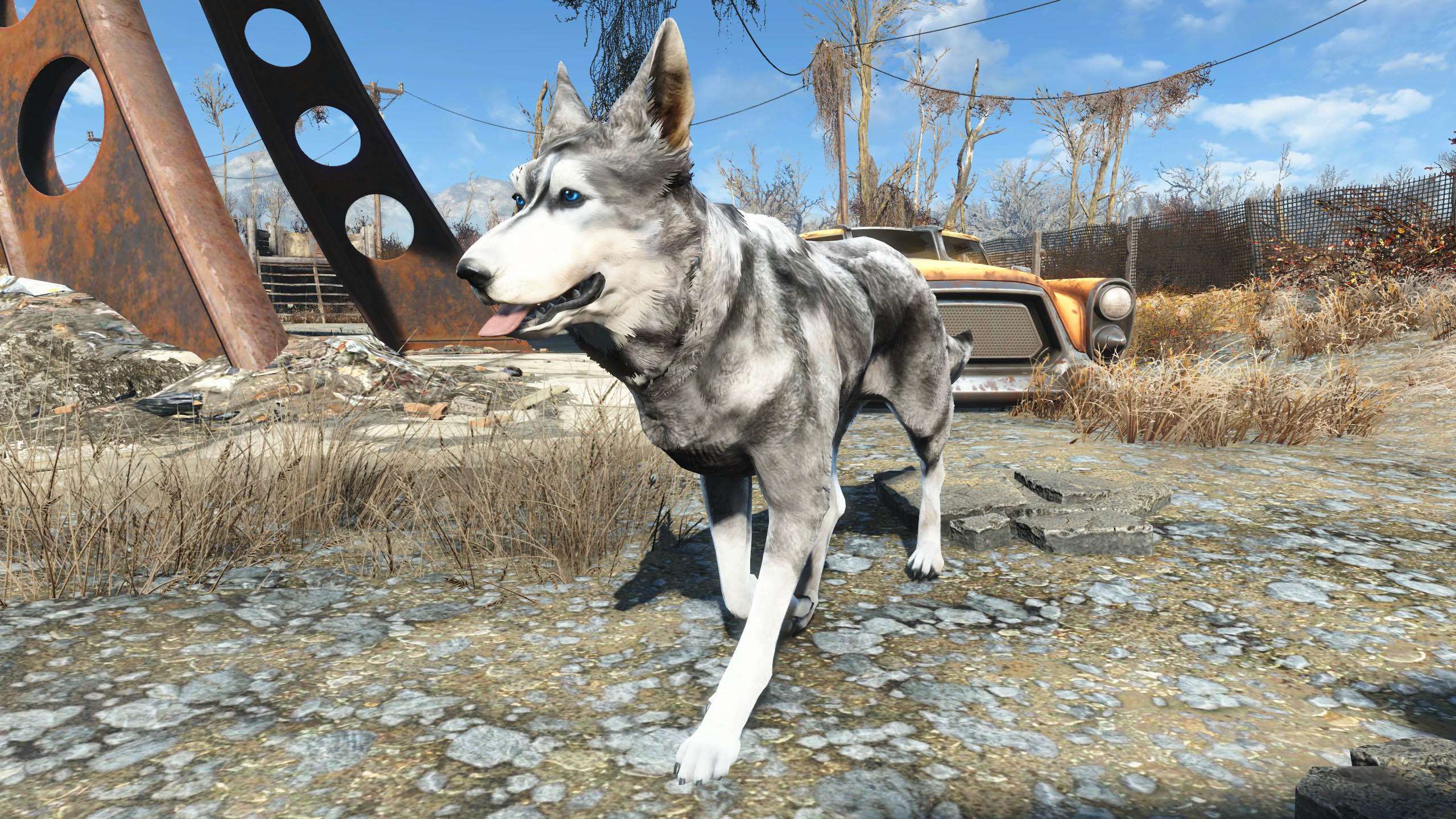 Fallout 4 good boy dogmeat фото 94