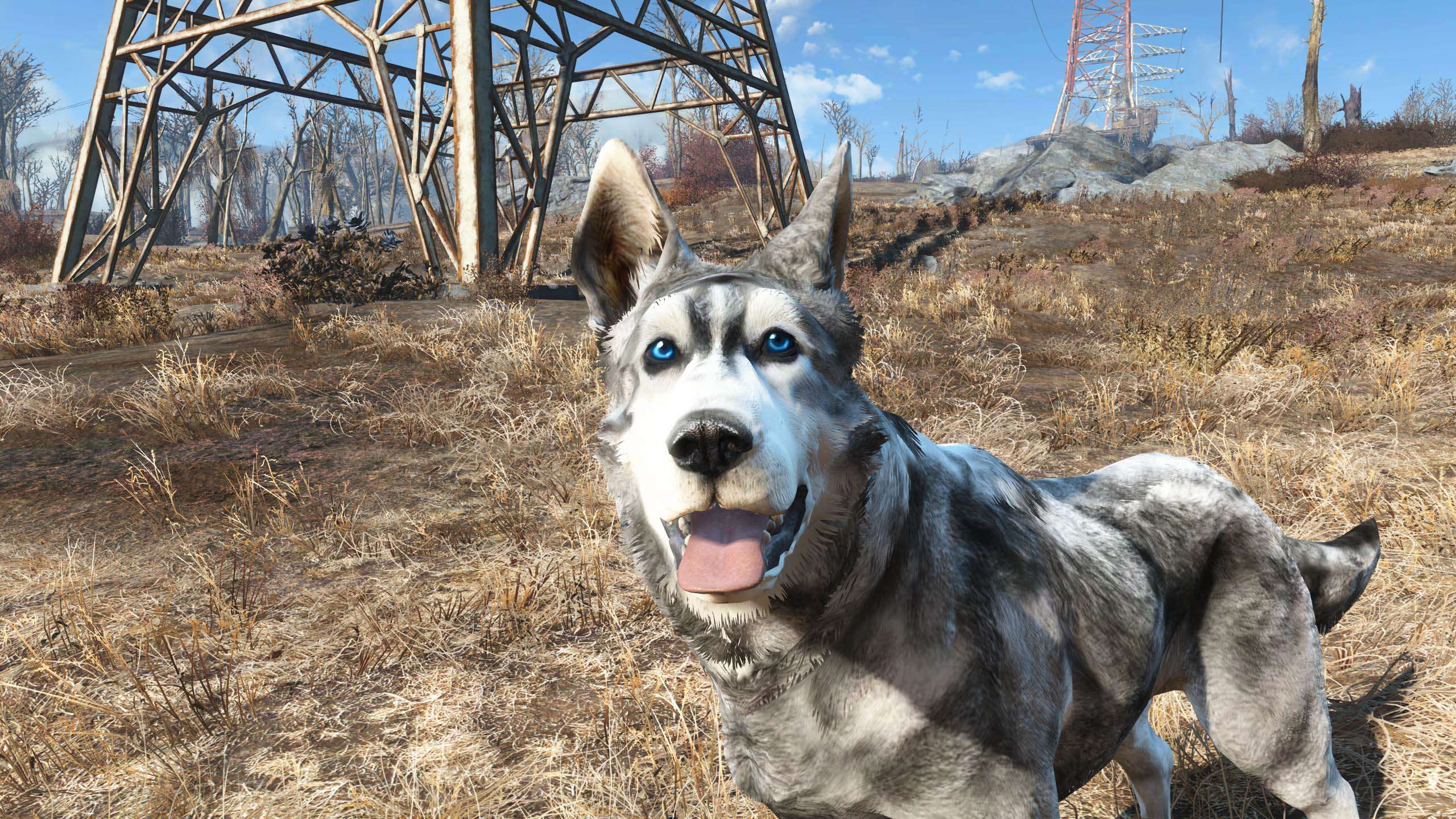 Fallout 4 отпустил собаку где она фото 41