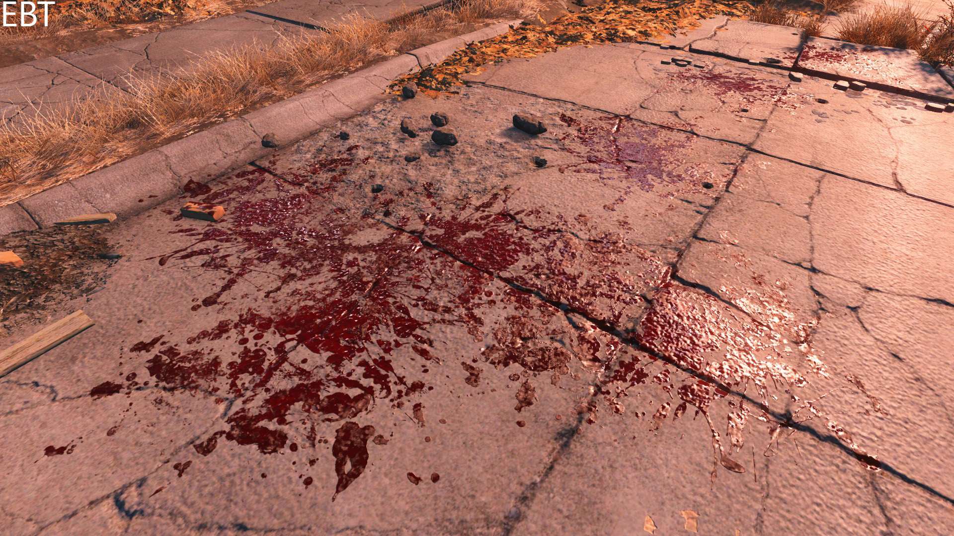 Fallout 4 много крови фото 2