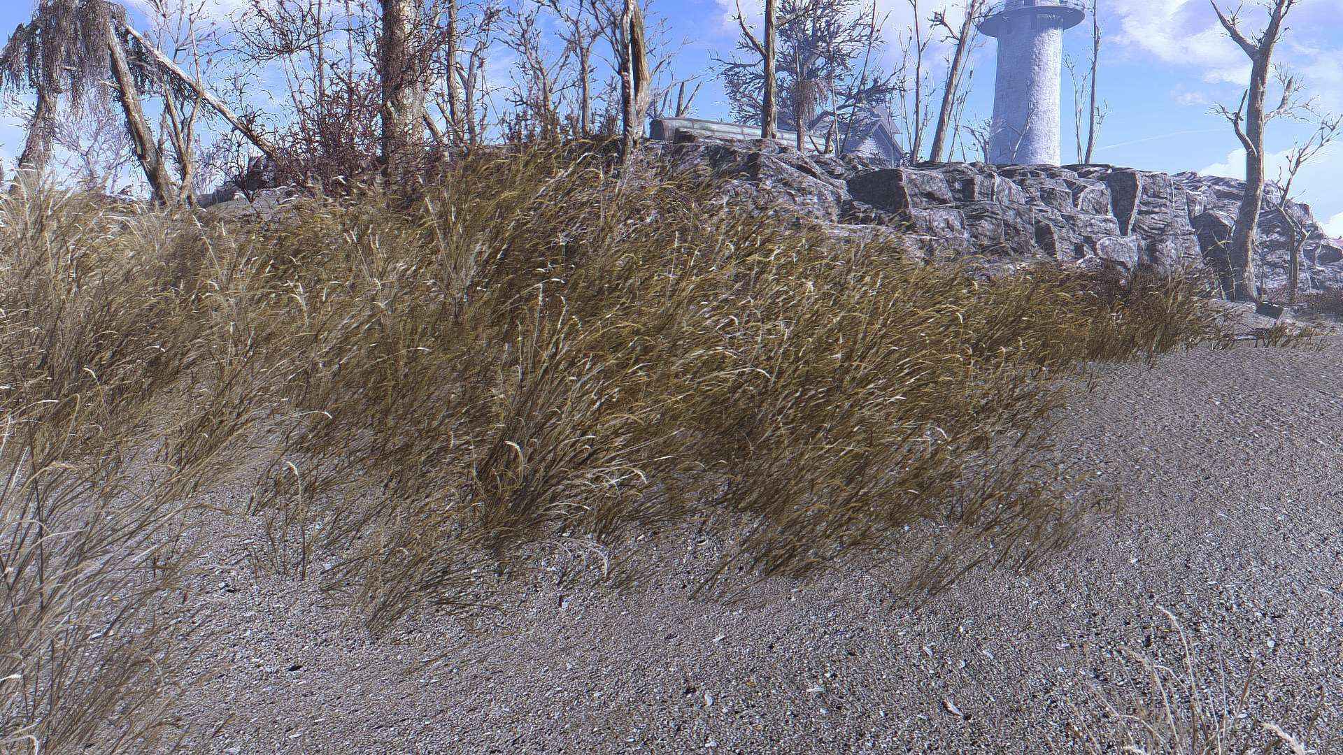 Fallout 4 нет травы фото 12