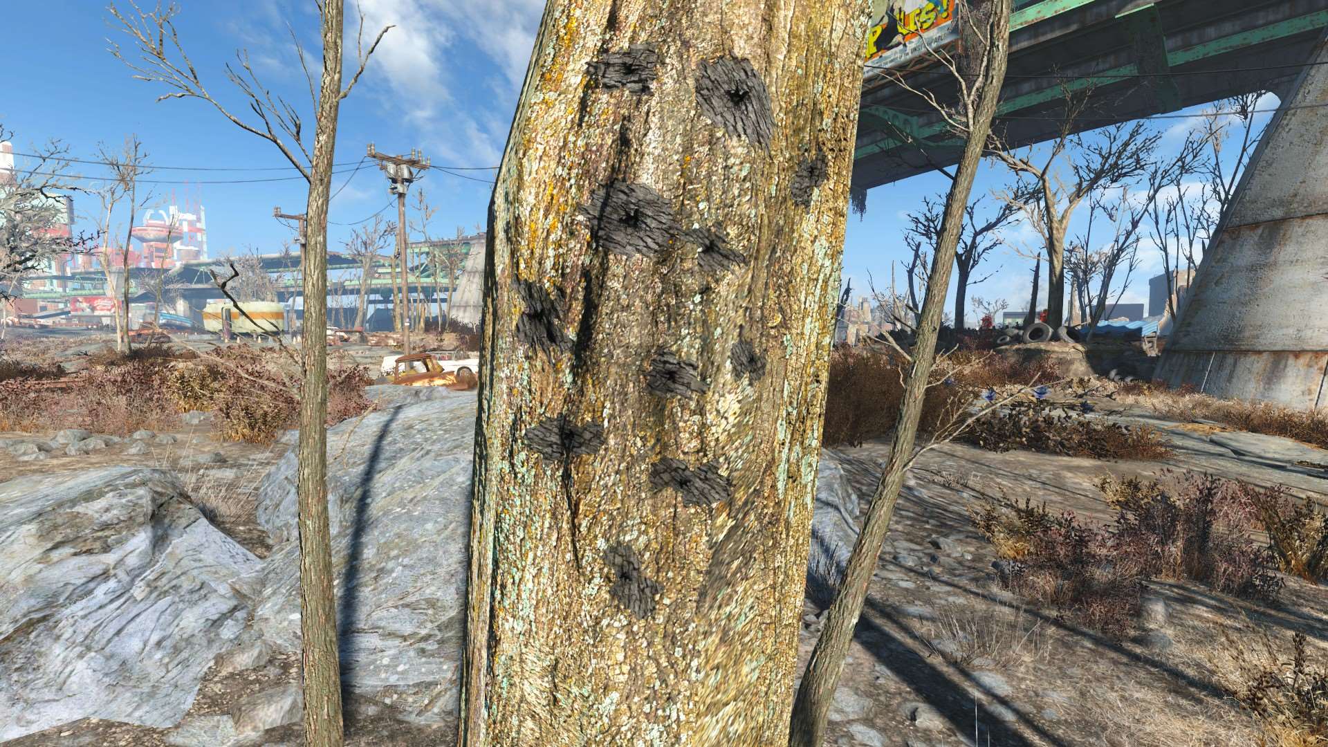 Fallout 4 зачистка кантри фото 88