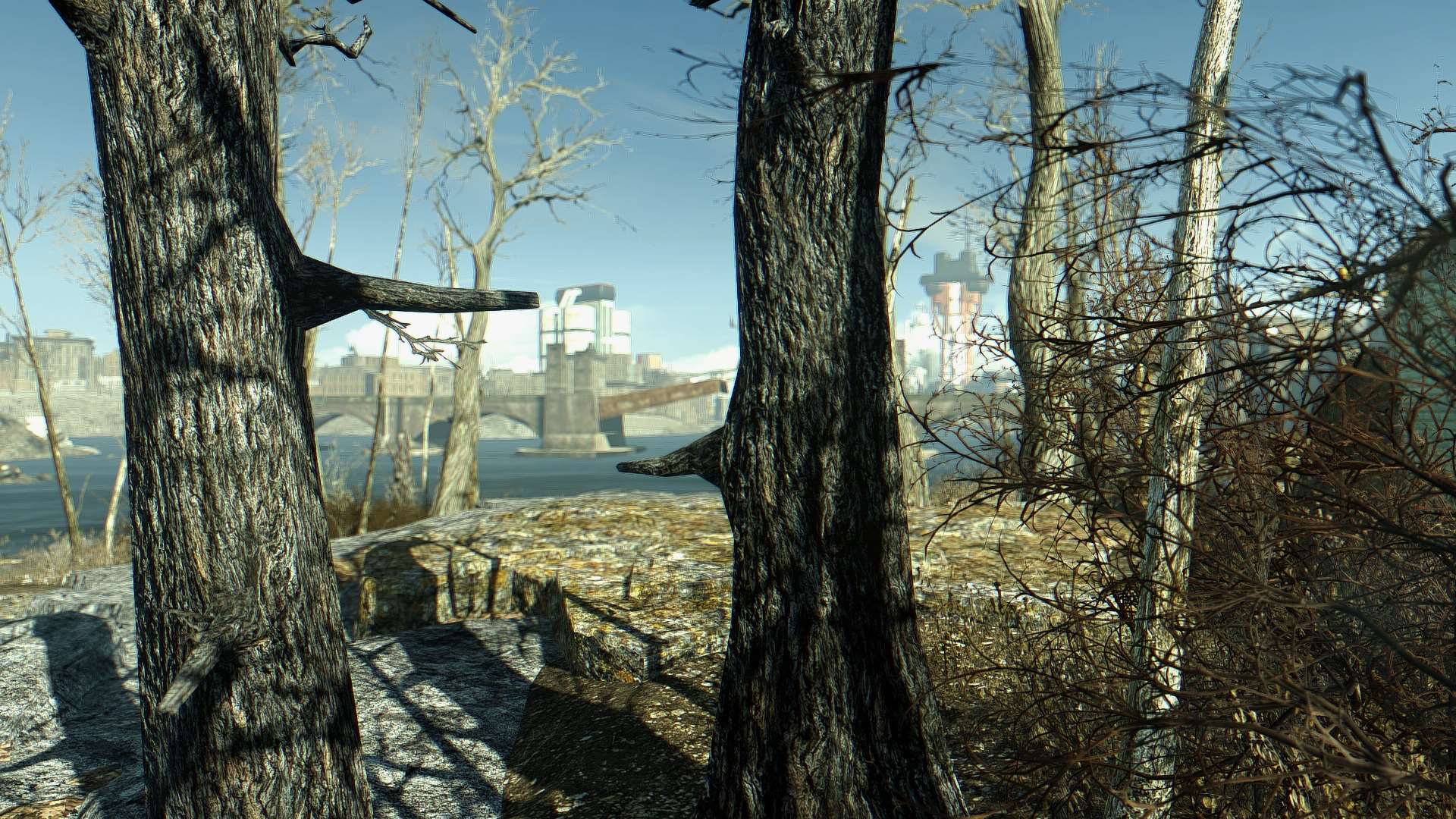 Fallout 4 деревья и трава фото 59