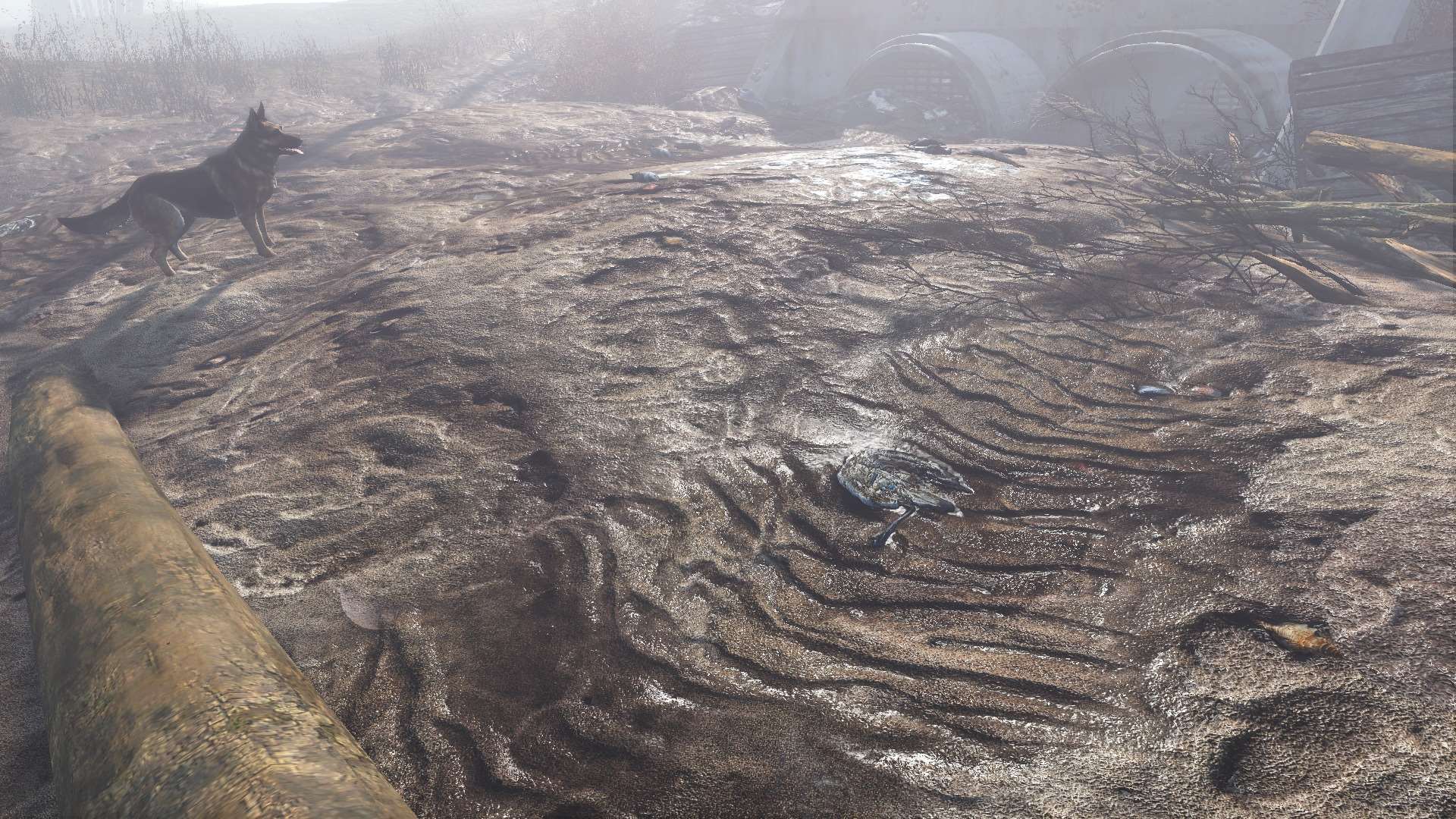 Fallout 4 идеальные текстуры ландшафта фото 92