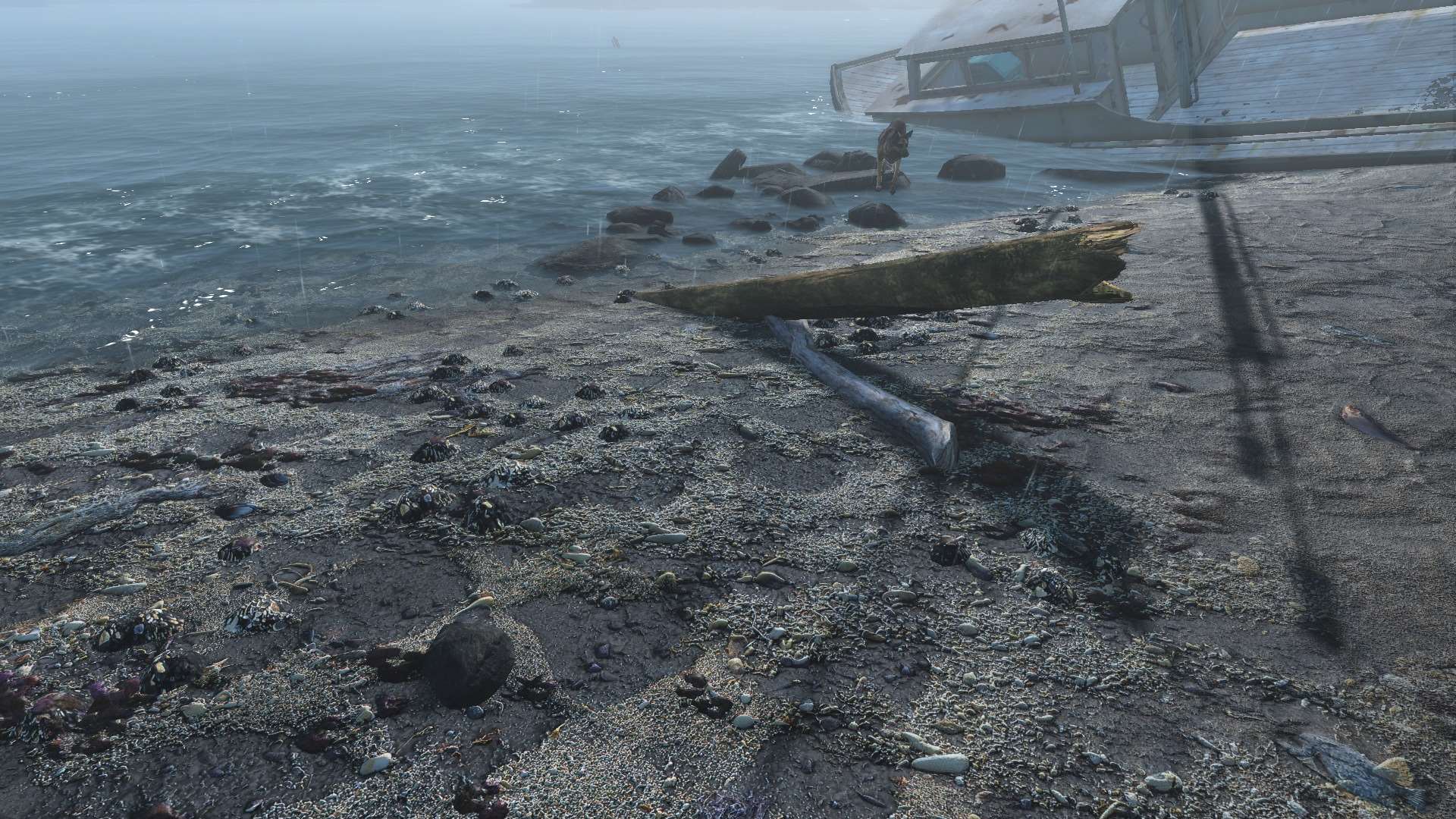 Fallout 4 идеальные текстуры ландшафта фото 79