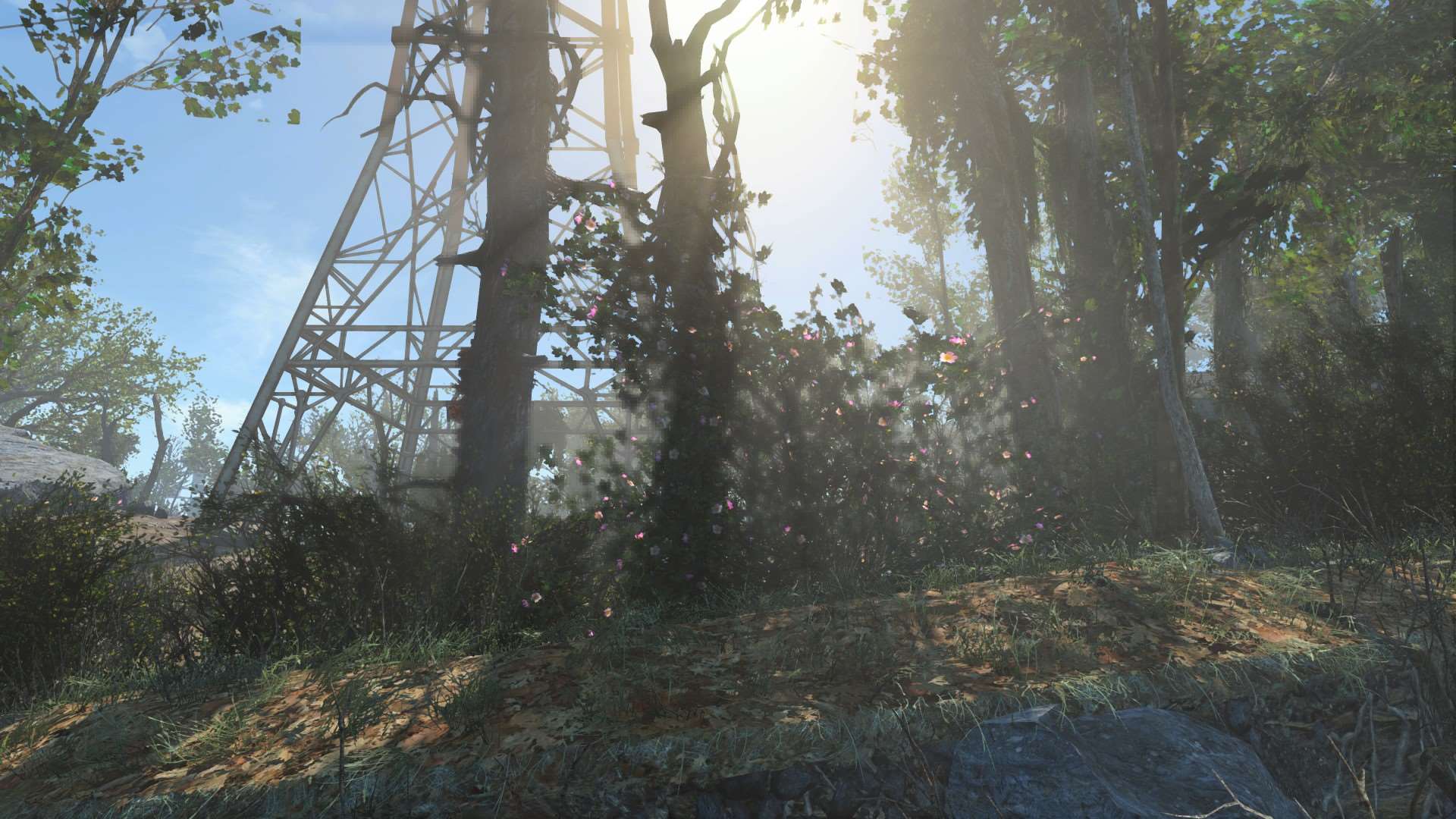 Fallout 4 все зеленое фото 3
