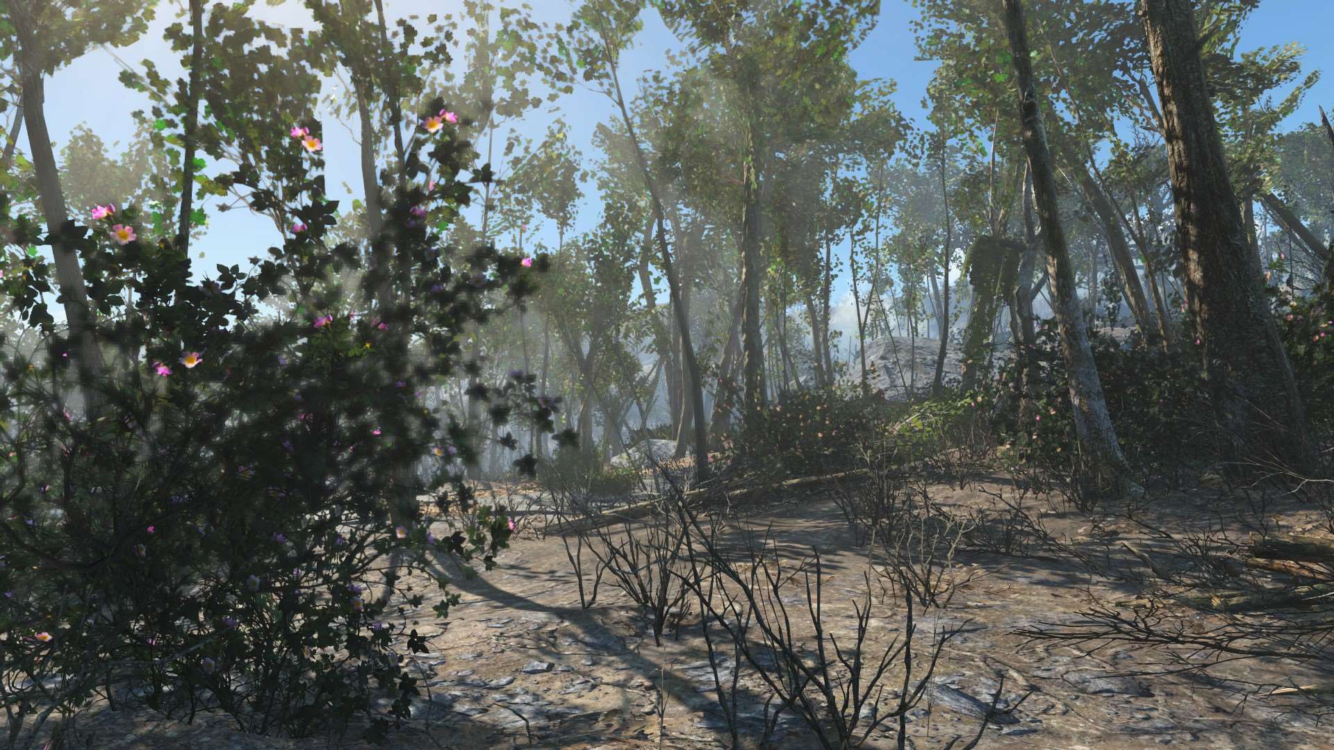 Fallout 4 деревья и трава фото 73
