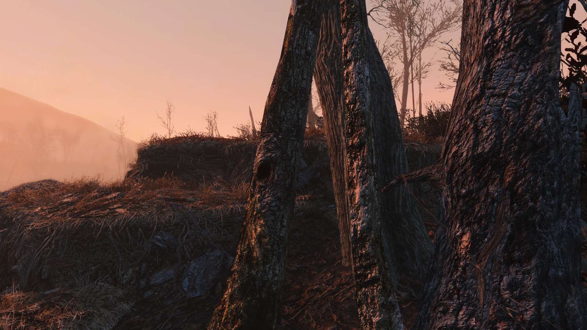 Commonwealth conifers redux fallout 4 фото 2