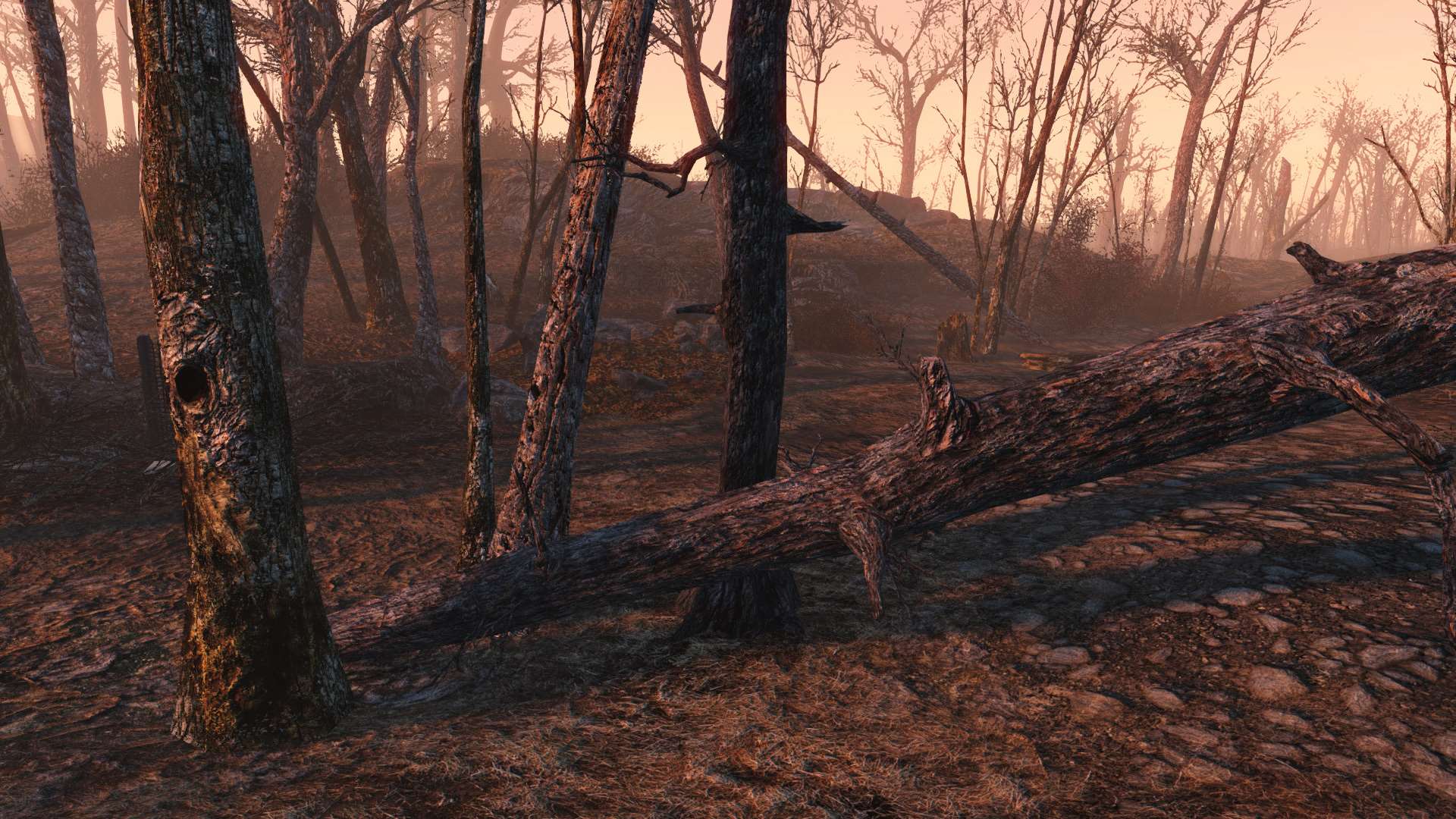 Fallout 4 деревья и трава фото 46