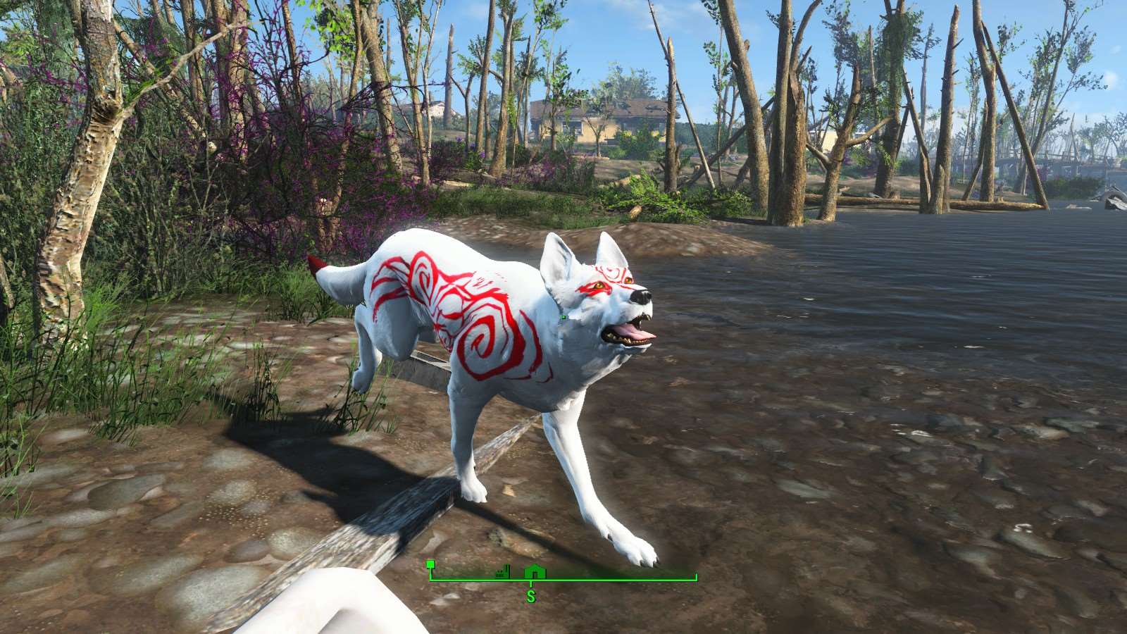 Fallout 4 пес что то нашел фото 112
