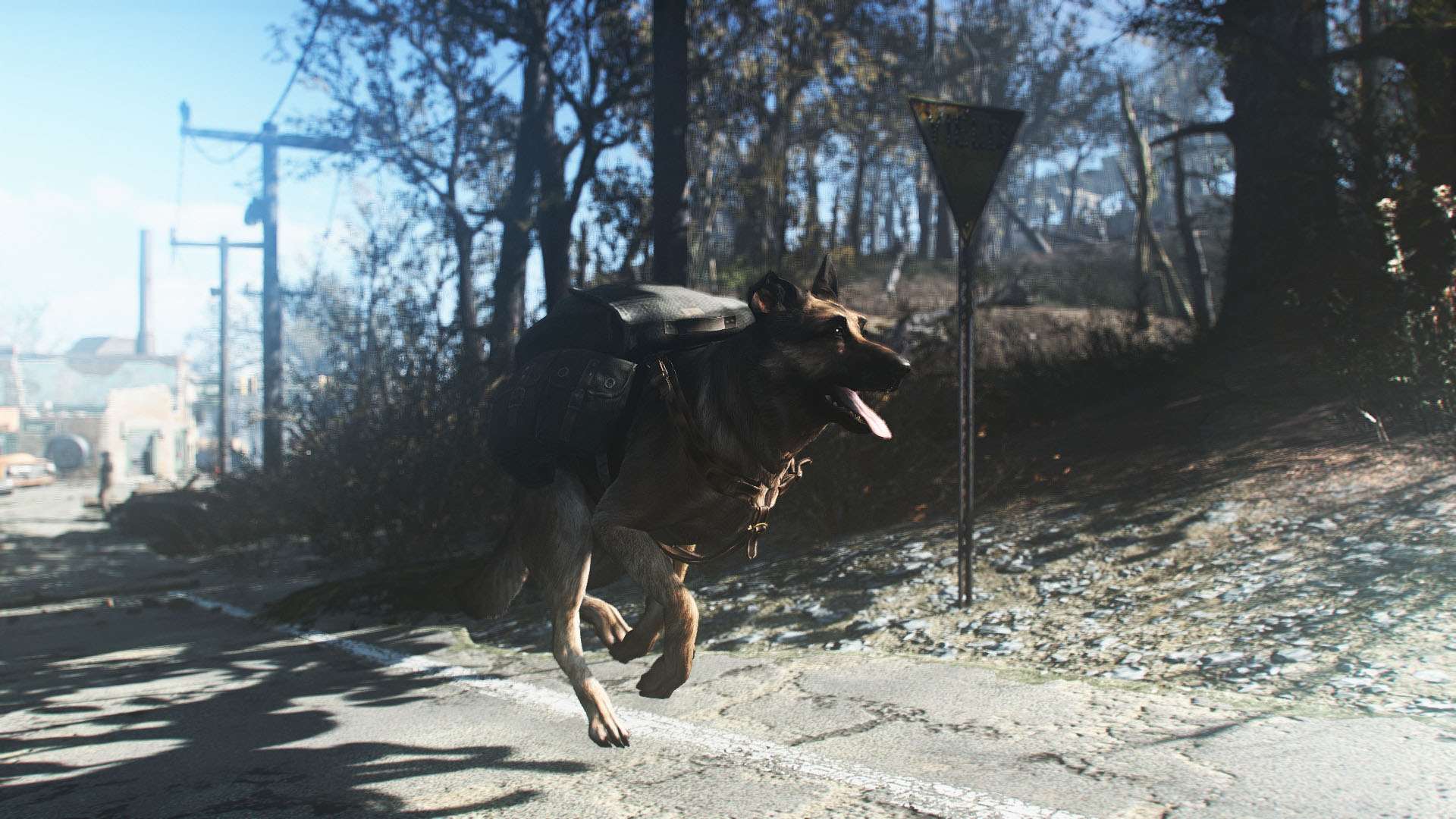 Fallout 4 собака нашла фото 89