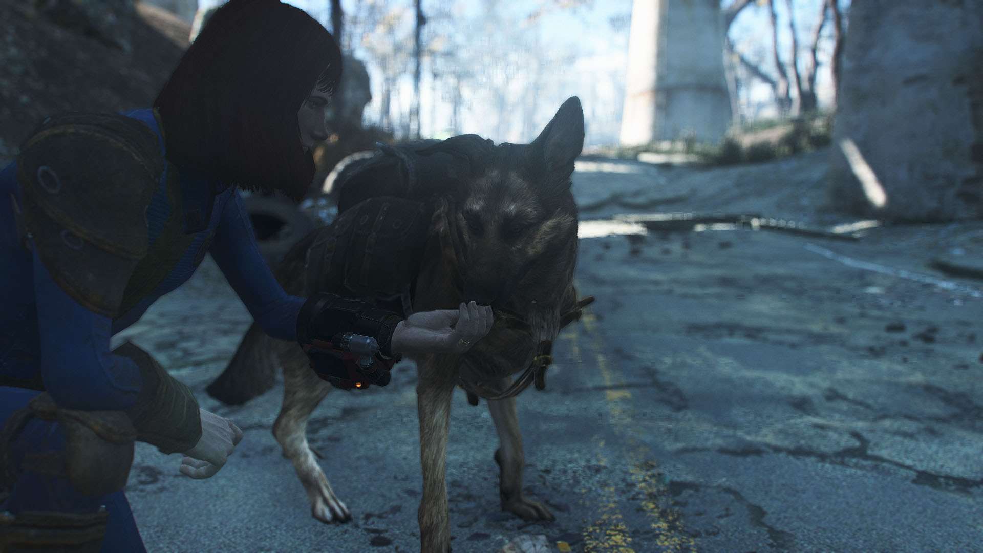 Fallout 4 будка для собаки фото 92