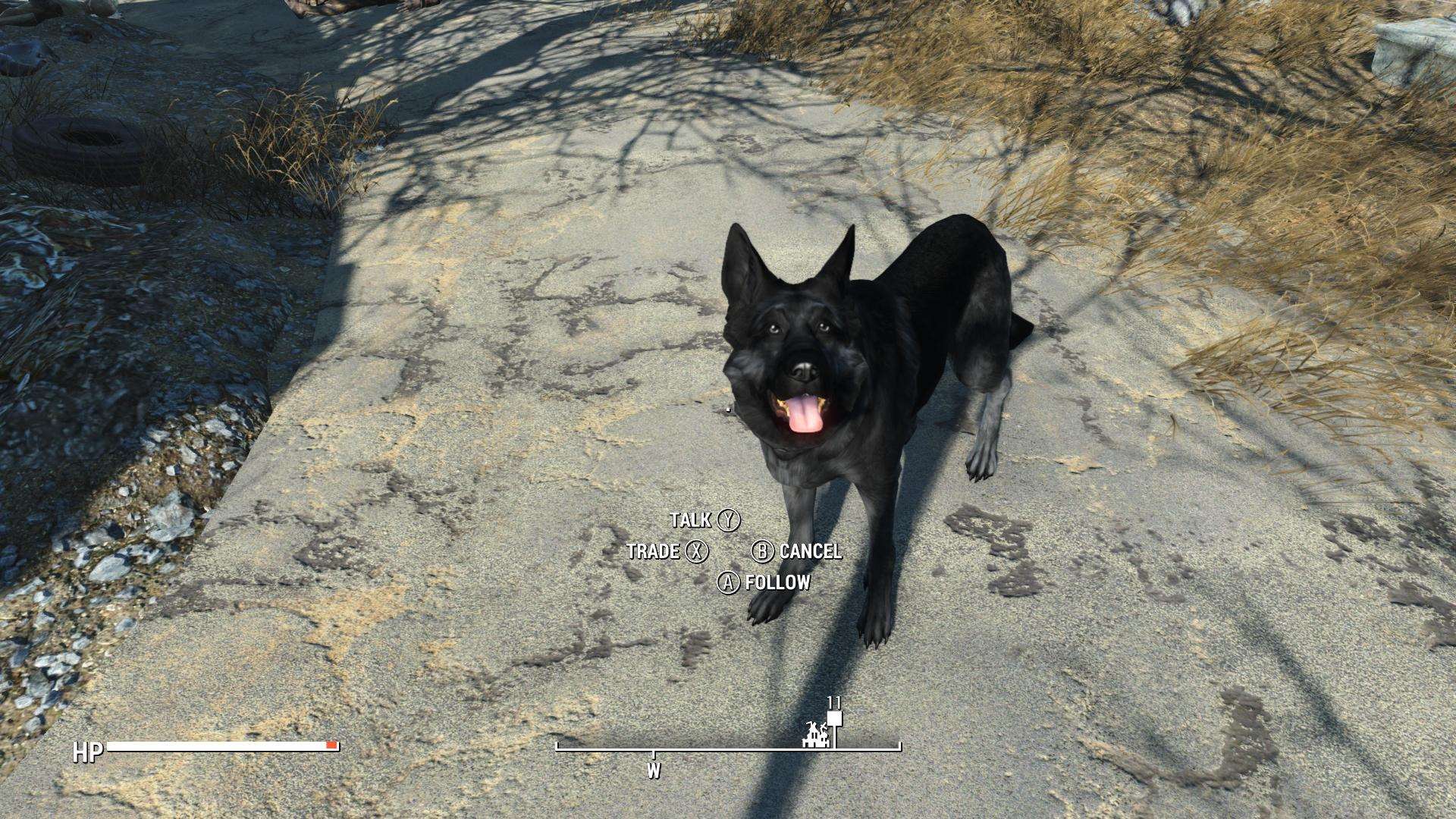 Fallout 4 собака это спутник фото 117