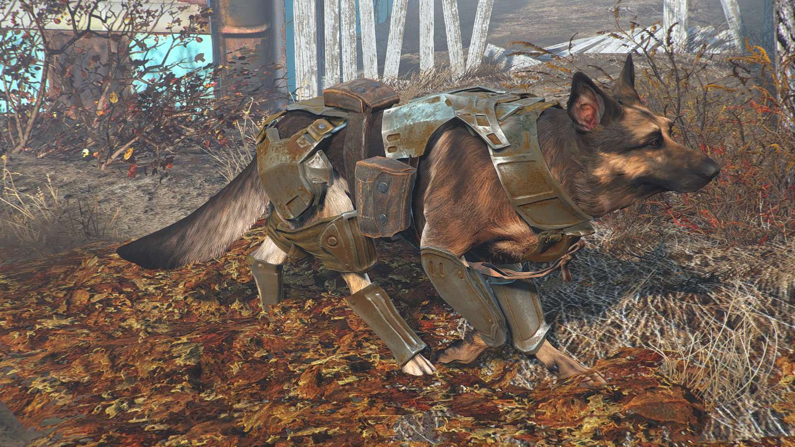 Fallout 4 боевой пес фото 3