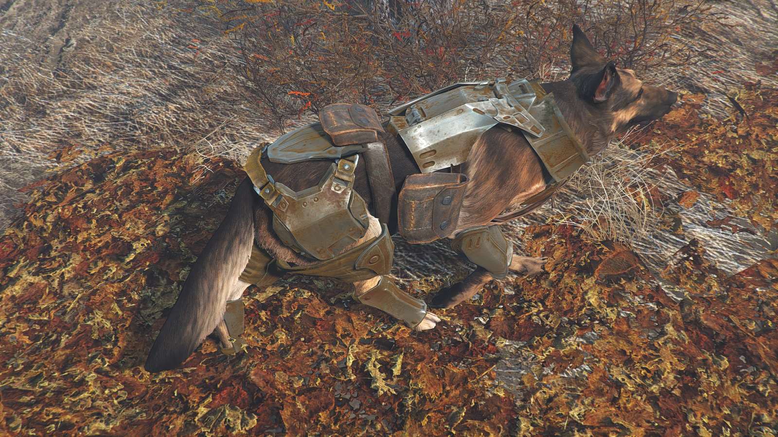 Fallout 4 боевой пес фото 17