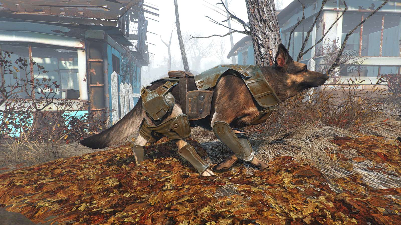 Fallout 4 собаку фото 32
