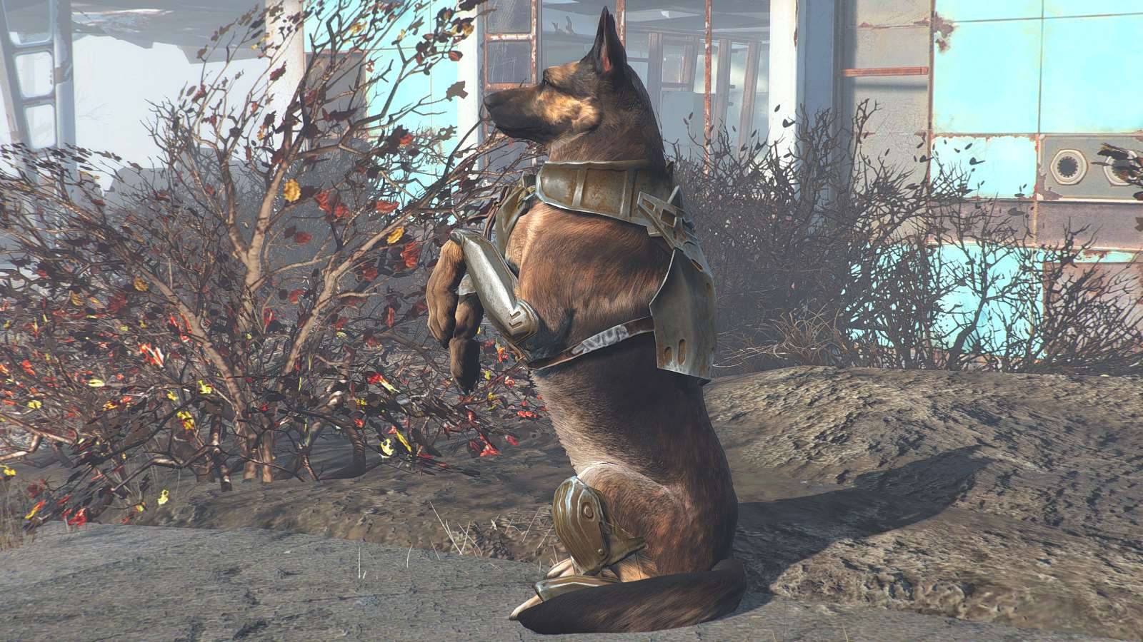 Fallout 4 боевой пес фото 9