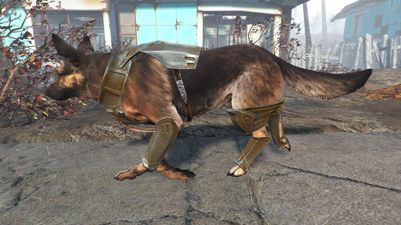Fallout 4 боевой пес фото 7