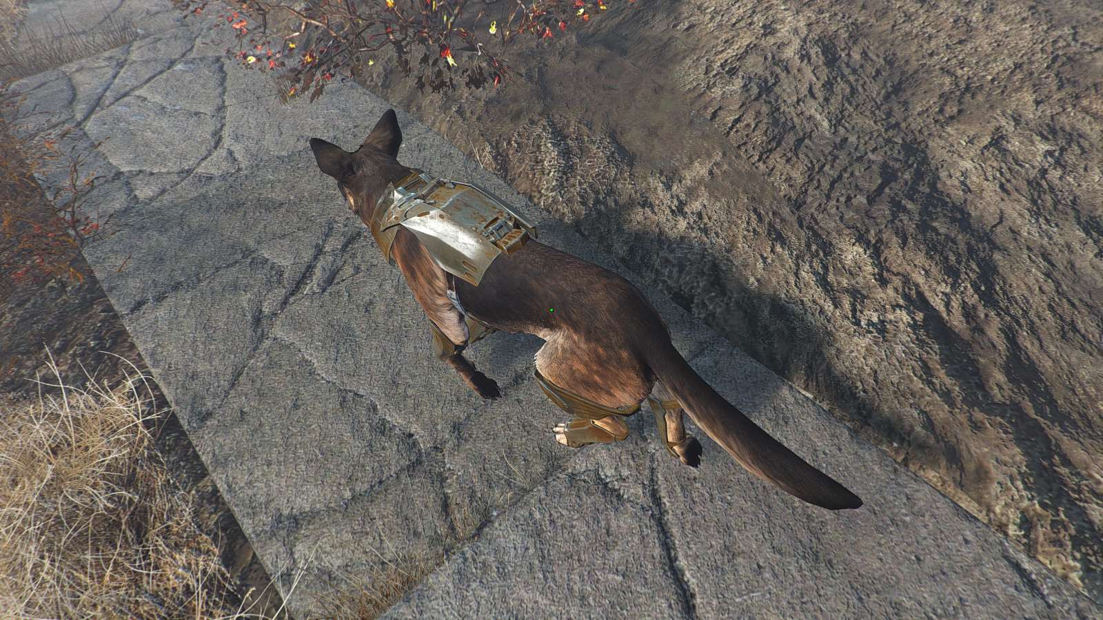 Fallout 4 как одевать собаку фото 38
