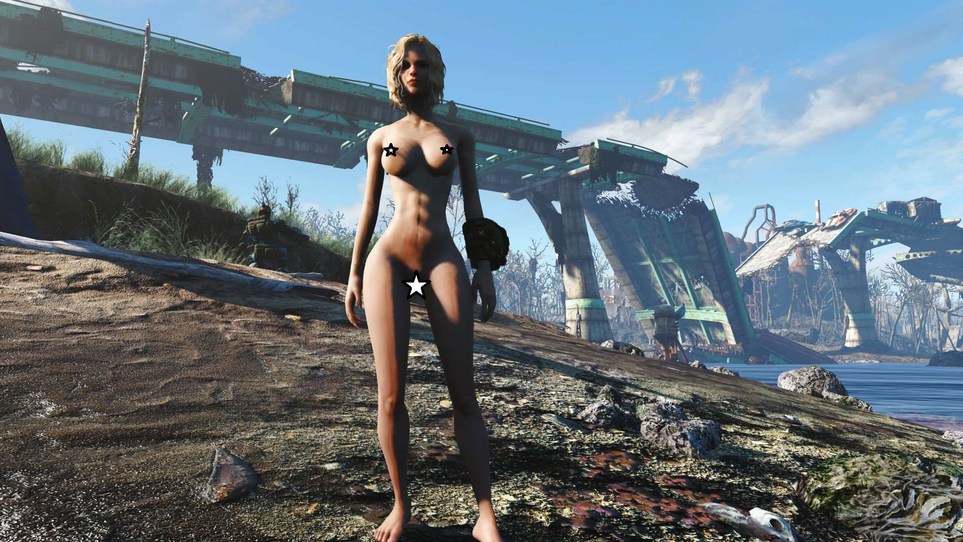 Fallout 4 моды голая фото 30
