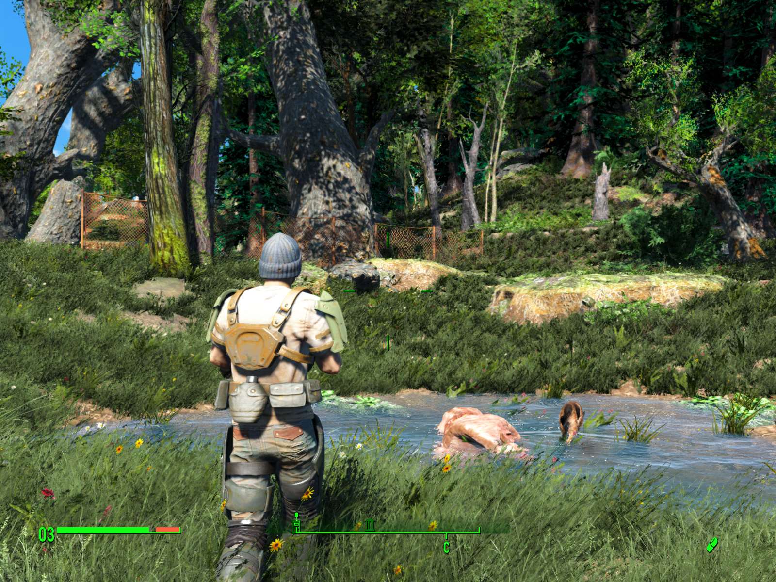 Fallout 4 пропала трава (118) фото