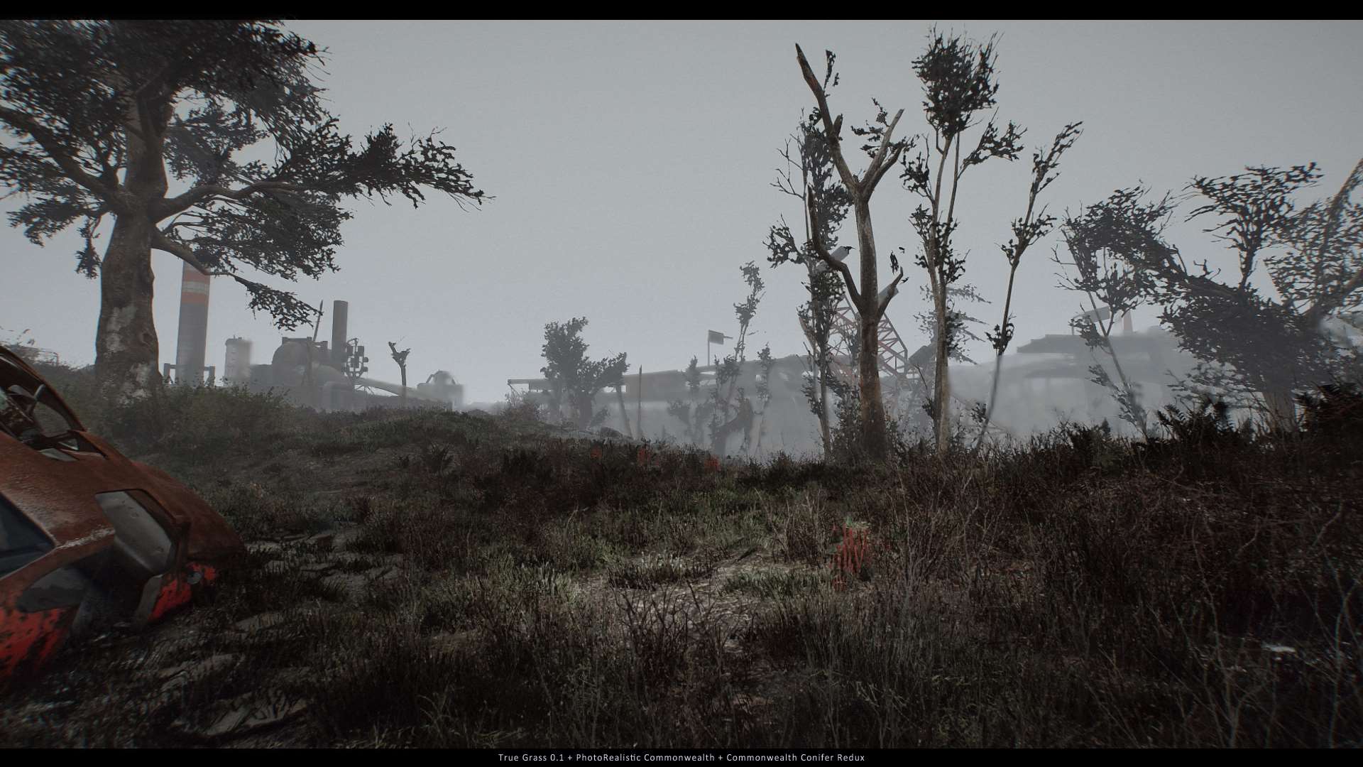 Fallout 4 деревья и трава фото 105