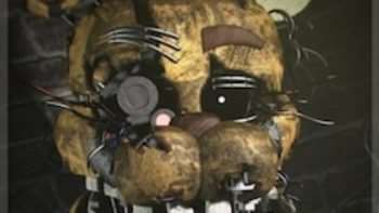 Expectation Fredbear Ragdoll Expectation Fredbear Ragdoll