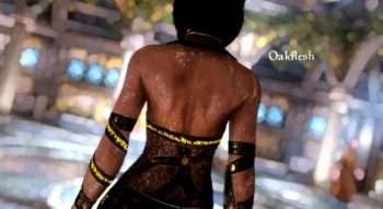 Skyrim — FleshFX Skyrim — FleshFX | Skyrim моды