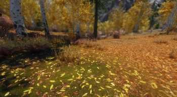 Skyrim — Полный ретекстур ландшафта 1k/2k/4k | Skyrim моды