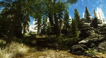 Skyrim — деревья и кусты | Skyrim моды