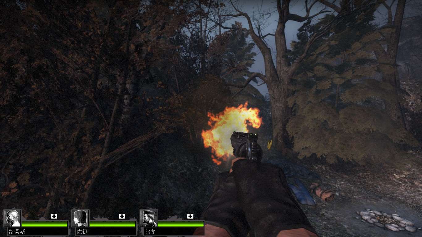 Left 4 Dead 2 44