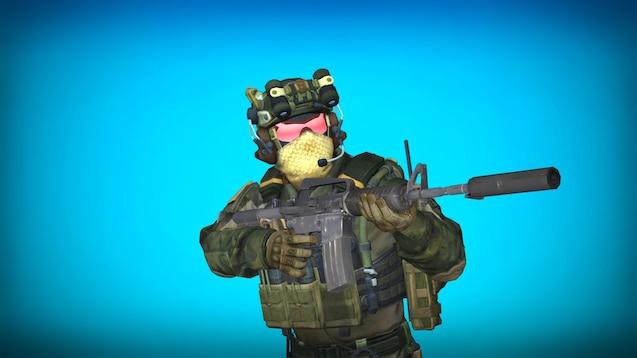 [CSGO] Seal Team 6 Soldier | NSWC SEAL [PM-Ragdoll]
