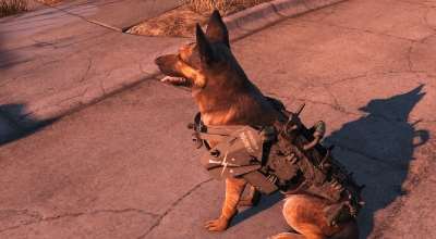 Fallout 4 — Броня Минитменов для Псины (Dogmeat Minutemen Armor)