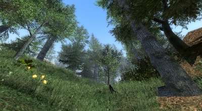 Garrys mod — gm_forest_final — красивая карта с лесом