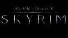 The Elder Scrolls 5 Skyrim — no dvd