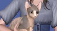 Sims 3 — Кошка породы сфинкс — Millie | Sims 3 моды