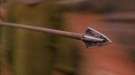 Skyrim — увеличенная дальность стрельбы из лука