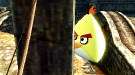 Skyrim — новые стрелы в виде птиц из Angry Birds